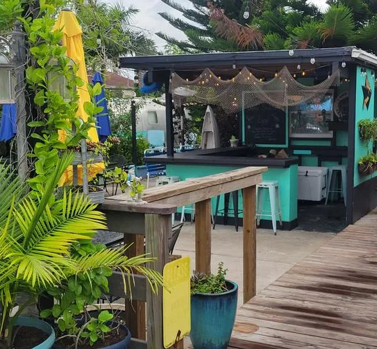 The teal bar on the deck surrounded by plants